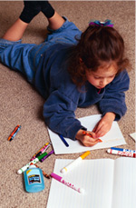 Domestic Cleaning Services